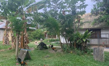 RESIDENTIAL LOT FOR SALE WITH FIXER UPPER HOUSE ID 14878