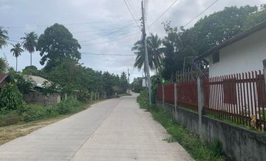RESIDENTIAL LOT FOR SALE WITH FIXER UPPER HOUSE ID 14878