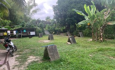 RESIDENTIAL LOT FOR SALE WITH FIXER UPPER HOUSE ID 14878