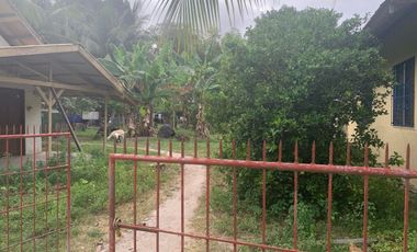 RESIDENTIAL LOT FOR SALE WITH FIXER UPPER HOUSE ID 14878