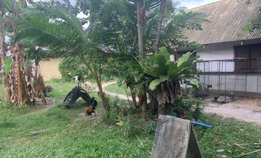 RESIDENTIAL LOT FOR SALE WITH FIXER UPPER HOUSE ID 14878