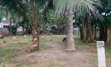 RESIDENTIAL LOT FOR SALE WITH FIXER UPPER HOUSE ID 14878