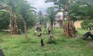 RESIDENTIAL LOT FOR SALE WITH FIXER UPPER HOUSE ID 14878