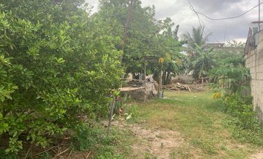 RESIDENTIAL LOT FOR SALE WITH FIXER UPPER HOUSE ID 14878