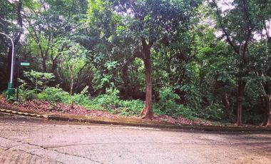 FOR SALE Residential Lot in Town and Country Estates, Antipolo City - OBSL29