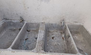 RENTA de Casa en el Centro del Municipio de Pedro Escobedo, Queretaro