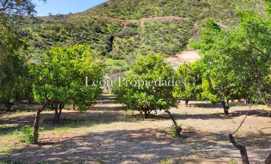 León Propiedades vende o permuta Hermosa parcela con Gran casa en Sector Los Maquis, Curacaví.