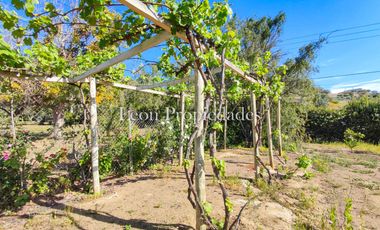 León Propiedades vende o permuta Hermosa parcela con Gran casa en Sector Los Maquis, Curacaví.