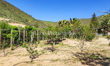 León Propiedades vende o permuta Hermosa parcela con Gran casa en Sector Los Maquis, Curacaví.