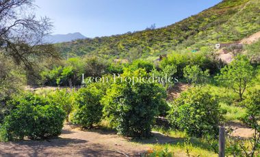 León Propiedades vende o permuta Hermosa parcela con Gran casa en Sector Los Maquis, Curacaví.
