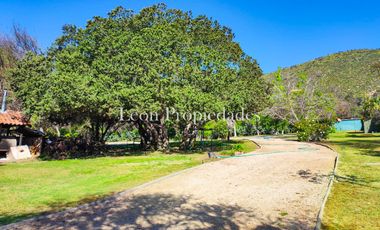 León Propiedades vende o permuta Hermosa parcela con Gran casa en Sector Los Maquis, Curacaví.