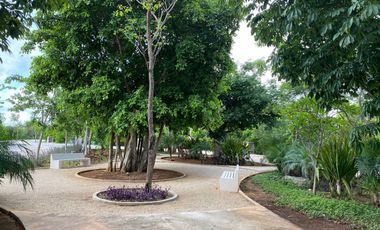 Terreno/Lote en excelente ubicación en esquina y frente area verde, en paseo del country club Mérida Yucatan
