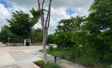 Terreno/Lote en excelente ubicación en esquina y frente area verde, en paseo del country club Mérida Yucatan