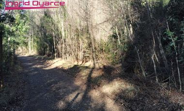Predio de 5Has Km 46.5 camino a las termas de Chillan sector Recinto