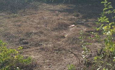 VENTA CASA PIE DE LA CUESTA ACAPULCO