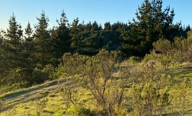 OPORTINIDAD DE INVERSIÓN, NUEVE HECTAREAS EN VENTA, LA CAMPANA