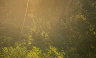 OPORTINIDAD DE INVERSIÓN, NUEVE HECTAREAS EN VENTA, LA CAMPANA