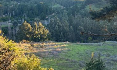 OPORTINIDAD DE INVERSIÓN, NUEVE HECTAREAS EN VENTA, LA CAMPANA