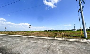 Ardia Vermosa | Lot For Sale - #5326