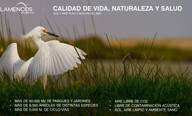 ¡Descubre el paraíso en el corazón del Norte Chico de Lima!