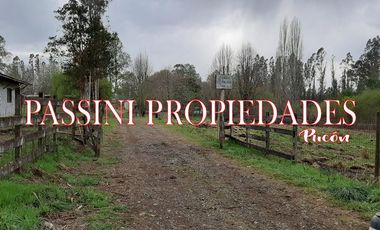 Campo agrícola