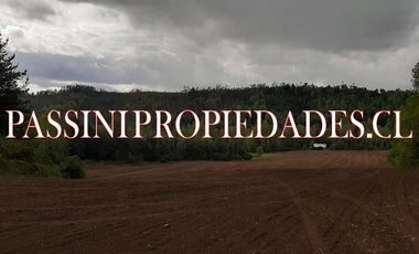 Campo agrícola