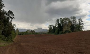 Campo agrícola