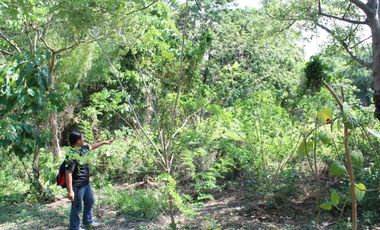 Land for Rent Calamba, Laguna