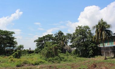 Land for Rent Calamba, Laguna