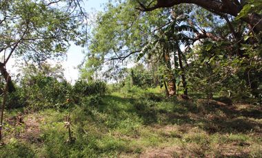 Land for Rent Calamba, Laguna