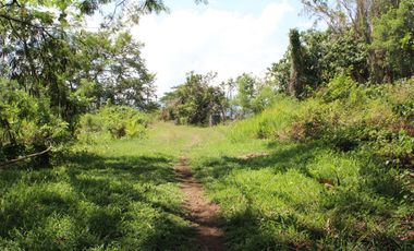 Land for Rent Calamba, Laguna