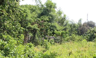 Land for Rent Calamba, Laguna