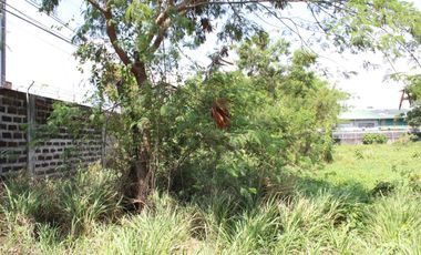 Land for Rent Calamba, Laguna