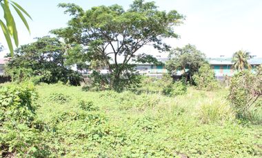 Land for Rent Calamba, Laguna