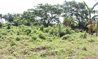 Land for Rent Calamba, Laguna