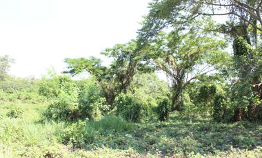 Land for Rent Calamba, Laguna