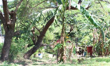 Land for Rent Calamba, Laguna