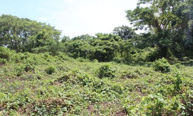 Land for Rent Calamba, Laguna