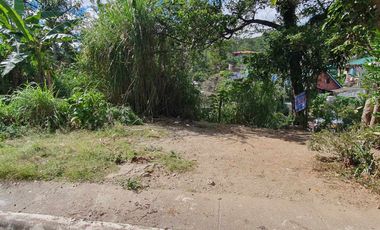 161 sqm Residential Lot for Sale in Richview Subd., Baguio City