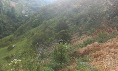 VENDO TERRENO DE 5 HECTÁREAS  EN BARBOSA ANTIOQUIA