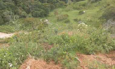 VENDO TERRENO DE 5 HECTÁREAS  EN BARBOSA ANTIOQUIA