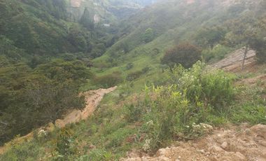 VENDO TERRENO DE 5 HECTÁREAS  EN BARBOSA ANTIOQUIA