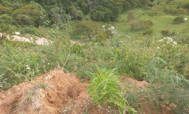 VENDO TERRENO DE 5 HECTÁREAS  EN BARBOSA ANTIOQUIA