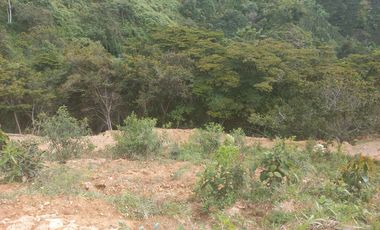 VENDO TERRENO DE 5 HECTÁREAS  EN BARBOSA ANTIOQUIA