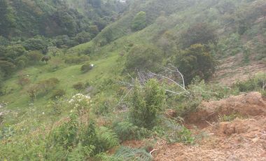 VENDO TERRENO DE 5 HECTÁREAS  EN BARBOSA ANTIOQUIA