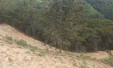 VENDO TERRENO DE 5 HECTÁREAS  EN BARBOSA ANTIOQUIA