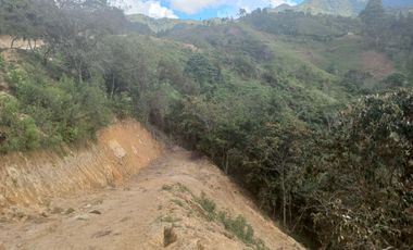 VENDO TERRENO DE 5 HECTÁREAS  EN BARBOSA ANTIOQUIA