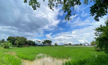 14-3-82 Rai of land for sale near San Kamphaeng