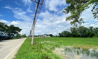 14-3-82 Rai of land for sale near San Kamphaeng