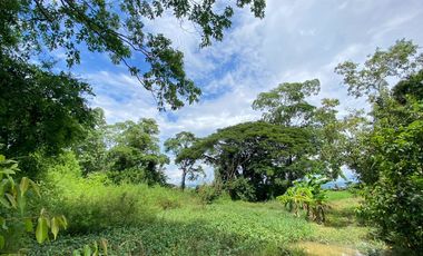 14-3-82 Rai of land for sale near San Kamphaeng